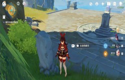 原神天遒谷第二层点火攻略 天遒谷第二层解密方案 原神天遒谷第二层点火攻略 天遒谷第二层解密方案