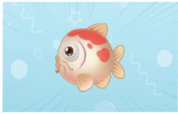 摩尔庄园锦鲤在哪钓 摩尔庄园锦鲤怎么获得 摩尔庄园锦鲤在哪钓 摩尔庄园锦鲤怎么获得