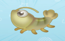 摩尔庄园冰川虾在哪钓 摩尔庄园冰川虾怎么获得 摩尔庄园冰川虾在哪钓 摩尔庄园冰川虾怎么获得