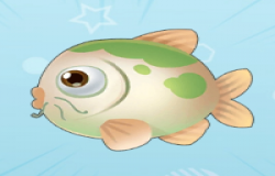 摩尔庄园绿鲤鱼在哪钓 摩尔庄园绿鲤鱼怎么获得 摩尔庄园绿鲤鱼在哪钓 摩尔庄园绿鲤鱼怎么获得