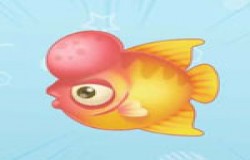 摩尔庄园花罗汉鱼在哪钓 摩尔庄园花罗汉鱼怎么获得 摩尔庄园花罗汉鱼在哪钓 摩尔庄园花罗汉鱼怎么获得