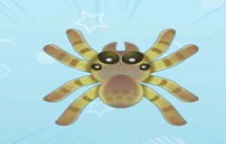 摩尔庄园水蜘蛛在哪钓 摩尔庄园水蜘蛛怎么获得 摩尔庄园水蜘蛛在哪钓 摩尔庄园水蜘蛛怎么获得