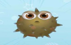 摩尔庄园花瓣海胆在哪钓 摩尔庄园花瓣海胆怎么获得 摩尔庄园花瓣海胆在哪钓 摩尔庄园花瓣海胆怎么获得