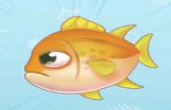 摩尔庄园金枪鱼在哪钓 摩尔庄园金枪鱼怎么获得 摩尔庄园金枪鱼在哪钓 摩尔庄园金枪鱼怎么获得