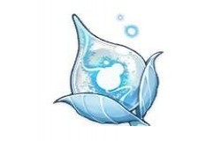 原神浮游干核怎么获得 原神浮游干核分布图 原神浮游干核怎么获得 原神浮游干核分布图