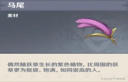 原神马尾位置 原神马尾分布图 原神马尾位置 原神马尾分布图