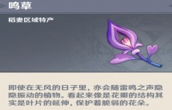 原神鸣草位置 原神鸣草分布图 原神鸣草位置 原神鸣草分布图