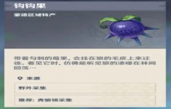 原神钩钩果哪里有卖 原神钩钩果分布图 原神钩钩果哪里有卖 原神钩钩果分布图