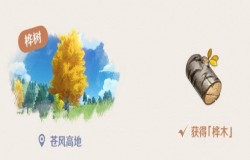原神桦木在哪采集 原神桦木分布图 原神桦木在哪采集 原神桦木分布图