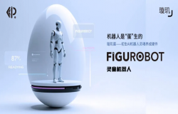 灵童机器人团队将携桌面级AI具身人形机器人“念”系列NIA-F01亮相2025 ChinaJoy展会E5馆CA202展位